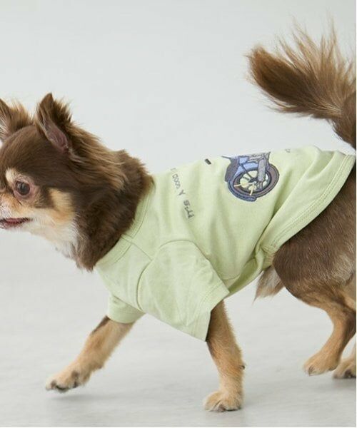 petit main / プティマイン ペットグッズ | 【リンク】【DOG】乗り物アップリケTシャツ | 詳細4