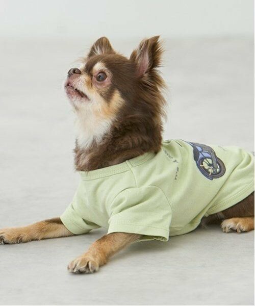 petit main / プティマイン ペットグッズ | 【リンク】【DOG】乗り物アップリケTシャツ | 詳細5