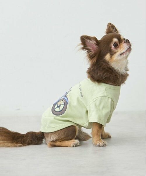 petit main / プティマイン ペットグッズ | 【リンク】【DOG】乗り物アップリケTシャツ | 詳細6