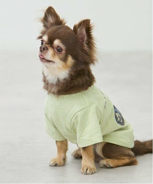 petit main / プティマイン ペットグッズ | 【リンク】【DOG】乗り物アップリケTシャツ | 詳細7
