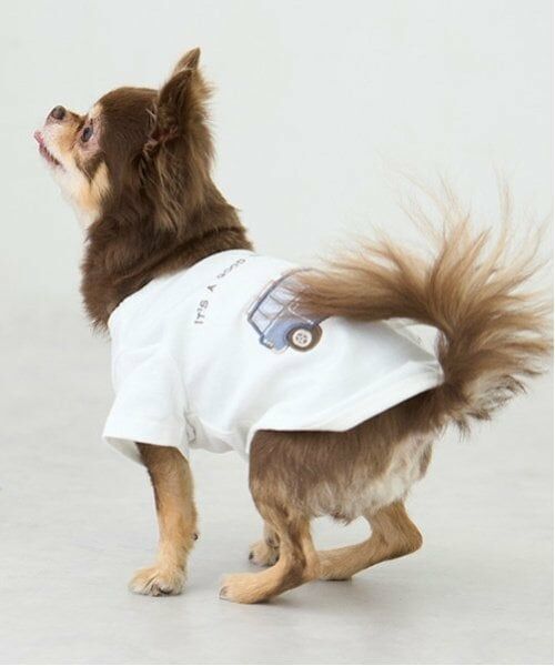 petit main / プティマイン ペットグッズ | 【リンク】【DOG】乗り物アップリケTシャツ | 詳細8