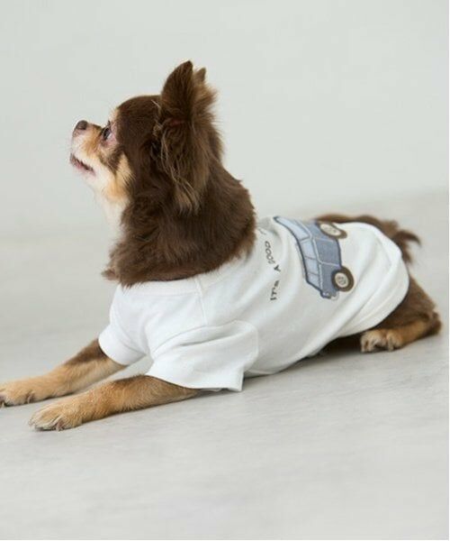 petit main / プティマイン ペットグッズ | 【リンク】【DOG】乗り物アップリケTシャツ | 詳細9