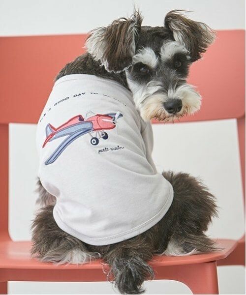 petit main / プティマイン ペットグッズ | 【リンク】【DOG】乗り物アップリケTシャツ（ライト グレー）