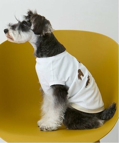 petit main / プティマイン ペットグッズ | 【リンク】【DOG】DOG・Sタンク | 詳細1