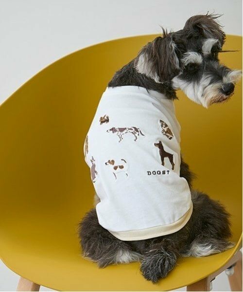 petit main / プティマイン ペットグッズ | 【リンク】【DOG】DOG・Sタンク（オフ ホワイト）