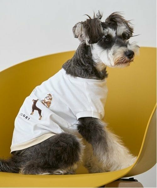 petit main / プティマイン ペットグッズ | 【リンク】【DOG】DOG・Sタンク | 詳細15