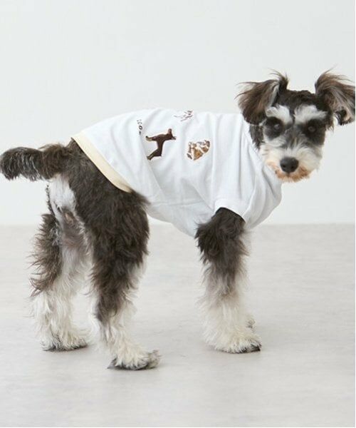 petit main / プティマイン ペットグッズ | 【リンク】【DOG】DOG・Sタンク | 詳細16