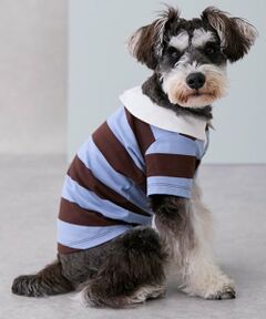 petit main / プティマイン ペットグッズ | 【リンク】【DOG】ラガーシャツ