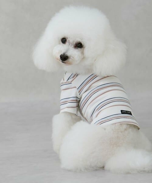 petit main / プティマイン ペットグッズ | 【リンク】【DOG】(防汚加工)マルチボーダーT | 詳細1