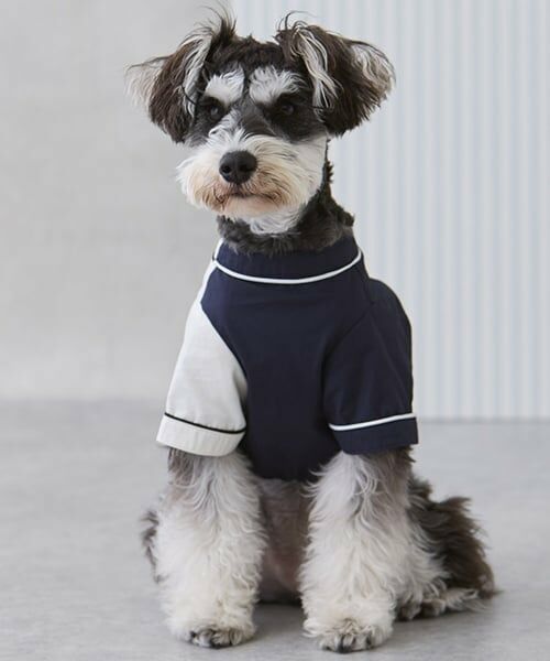 petit main / プティマイン ペットグッズ | 【リンク】【DOG】ベースボールシャツ | 詳細1