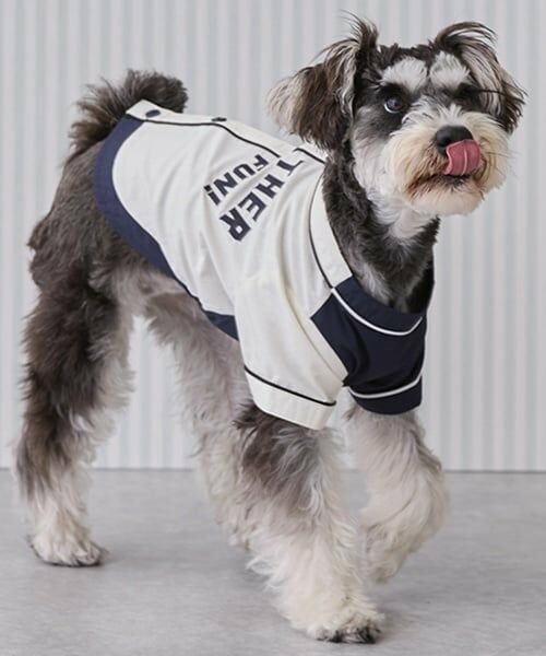 petit main / プティマイン ペットグッズ | 【リンク】【DOG】ベースボールシャツ | 詳細2