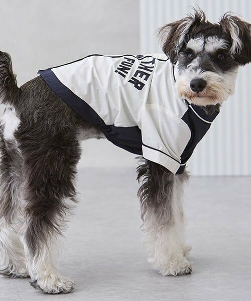 petit main / プティマイン ペットグッズ | 【リンク】【DOG】ベースボールシャツ | 詳細3