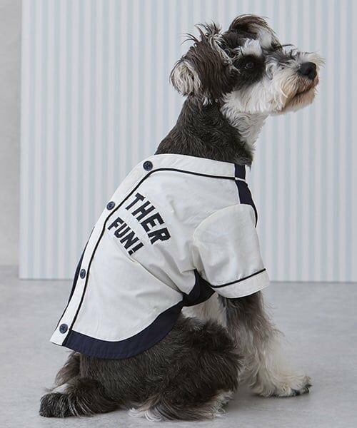 petit main / プティマイン ペットグッズ | 【リンク】【DOG】ベースボールシャツ（マルチ）