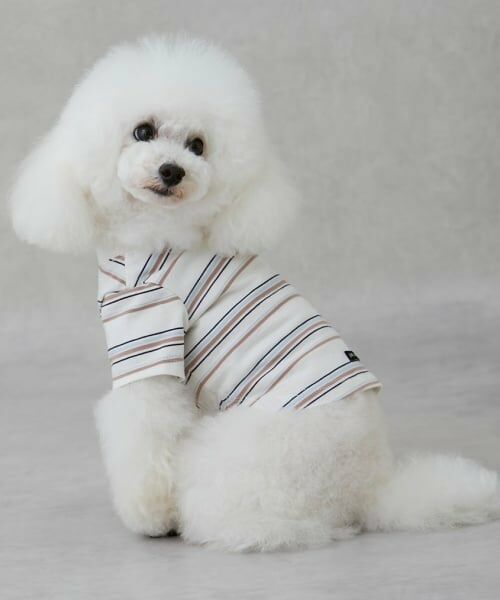 petit main / プティマイン Tシャツ | 【防汚加工】マルチボーダー半袖Tシャツ | 詳細6