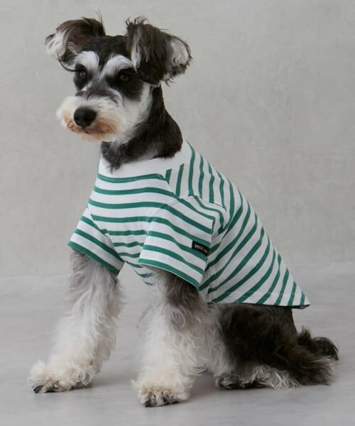 petit main / プティマイン Tシャツ | 【GOODPRICE冷感】ボーダー半袖Tシャツ | 詳細10