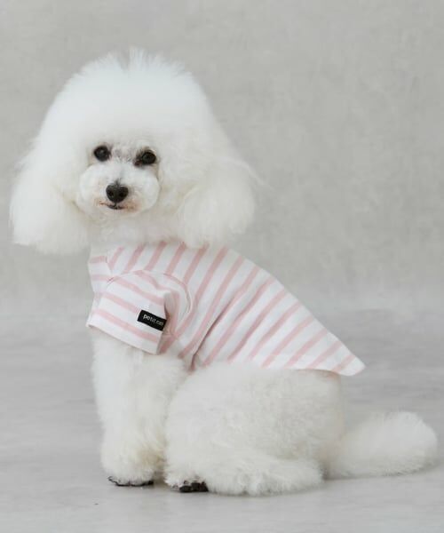 petit main / プティマイン Tシャツ | 【GOODPRICE冷感】ボーダー半袖Tシャツ | 詳細11