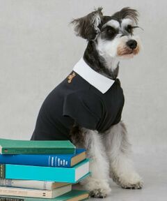 petit main / プティマイン ペットグッズ | 【DOG】【接触冷感】ポロ衿配色Tシャツ