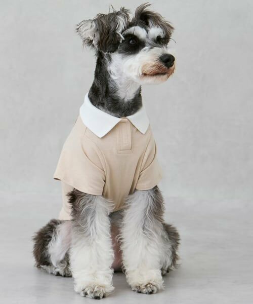 petit main / プティマイン ペットグッズ | 【DOG】【接触冷感】ポロ衿配色Tシャツ | 詳細1