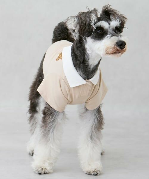 petit main / プティマイン ペットグッズ | 【DOG】【接触冷感】ポロ衿配色Tシャツ | 詳細2