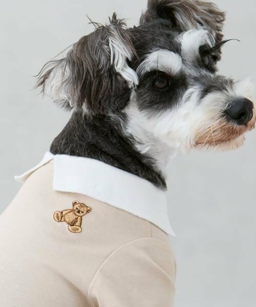 petit main / プティマイン ペットグッズ | 【DOG】【接触冷感】ポロ衿配色Tシャツ | 詳細3