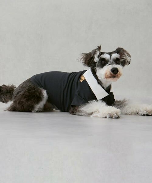 petit main / プティマイン ペットグッズ | 【DOG】【接触冷感】ポロ衿配色Tシャツ | 詳細4