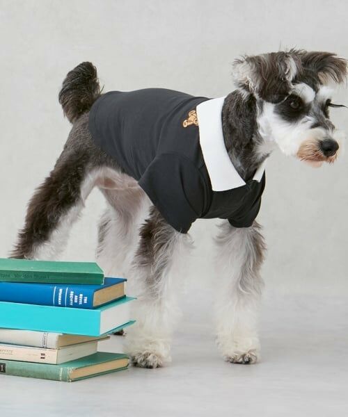 petit main / プティマイン ペットグッズ | 【DOG】【接触冷感】ポロ衿配色Tシャツ | 詳細5