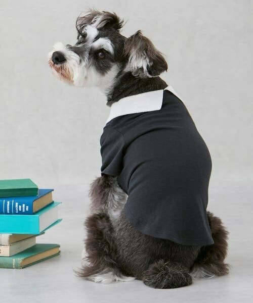 petit main / プティマイン ペットグッズ | 【DOG】【接触冷感】ポロ衿配色Tシャツ | 詳細6