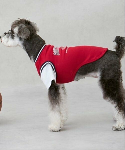 petit main / プティマイン ペットグッズ | 【リンク】【DOG】【接触冷感】ユニフォーム | 詳細1