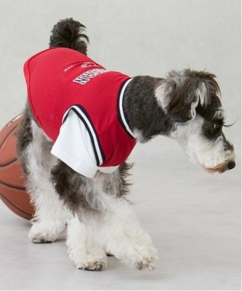 petit main / プティマイン ペットグッズ | 【リンク】【DOG】【接触冷感】ユニフォーム | 詳細2