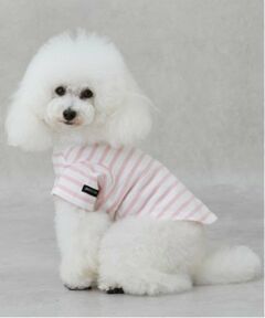 petit main / プティマイン ペットグッズ | 【リンク】【DOG】【接触冷感】ボーダーTシャツ