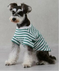 petit main / プティマイン ペットグッズ | 【リンク】【DOG】【接触冷感】ボーダーTシャツ