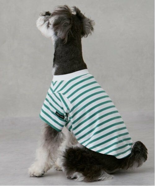 petit main / プティマイン ペットグッズ | 【リンク】【DOG】【接触冷感】ボーダーTシャツ | 詳細1