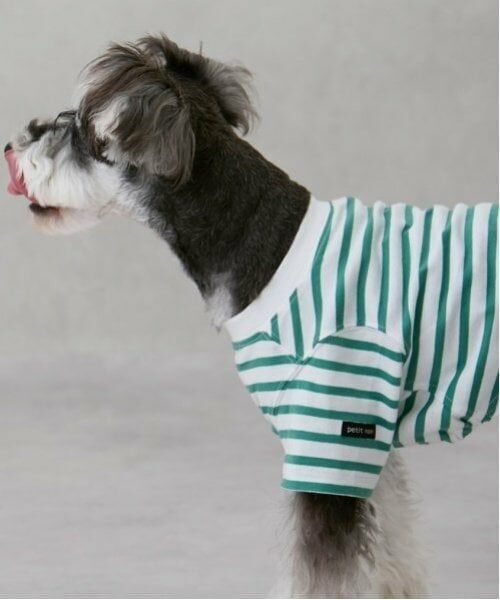 petit main / プティマイン ペットグッズ | 【リンク】【DOG】【接触冷感】ボーダーTシャツ | 詳細3