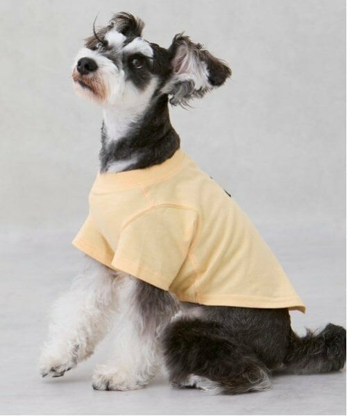 petit main / プティマイン ペットグッズ | 【リンク】【DOG】【接触冷感】刺しゅう半袖Tシャツ | 詳細1