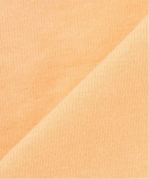 petit main / プティマイン ペットグッズ | 【リンク】【DOG】【接触冷感】刺しゅう半袖Tシャツ | 詳細14