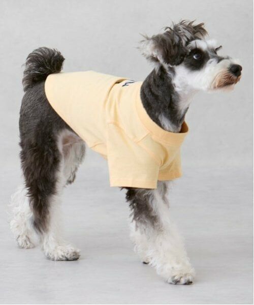 petit main / プティマイン ペットグッズ | 【リンク】【DOG】【接触冷感】刺しゅう半袖Tシャツ | 詳細2