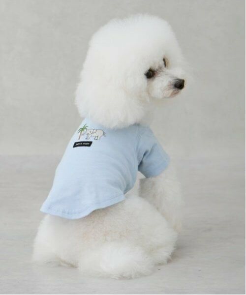 petit main / プティマイン ペットグッズ | 【リンク】【DOG】【接触冷感】刺しゅう半袖Tシャツ（ライト ブルー）