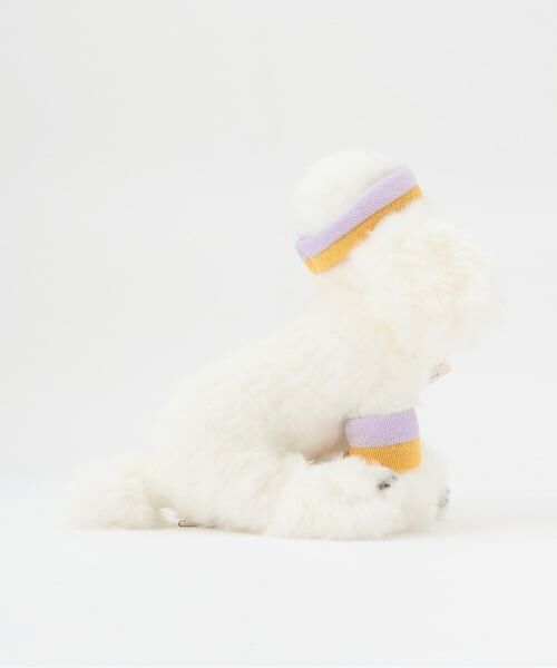 petit main / プティマイン その他 | 【BT.Chaps】スポーツ大好きプードル/L | 詳細2