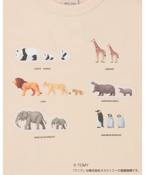 petit main / プティマイン Tシャツ | 【TOMICA・ANIA】グラフィック長袖Tシャツ | 詳細14