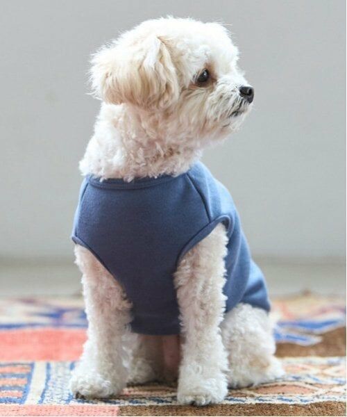 petit main / プティマイン ペットグッズ | 【リンク】【DOG】さくらんぼ刺しゅうタンク | 詳細4