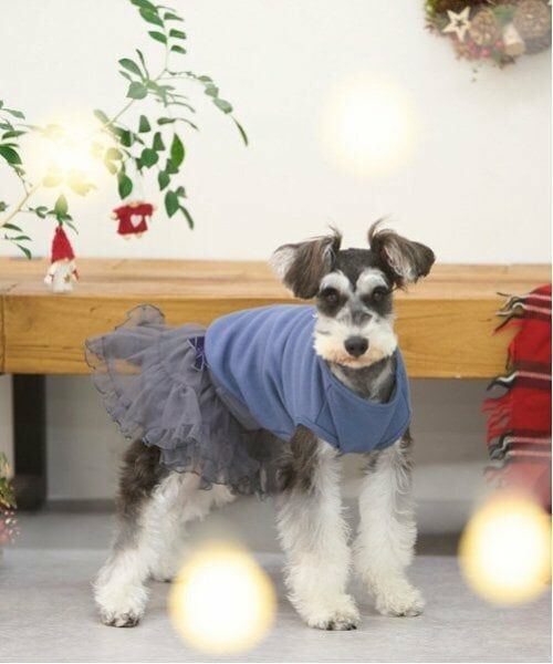 petit main / プティマイン ペットグッズ | 【リンク】【DOG】さくらんぼ刺しゅうタンク | 詳細7