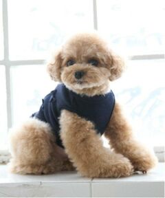 petit main / プティマイン ペットグッズ | 【リンク】【DOG】リボン後ろあきベスト
