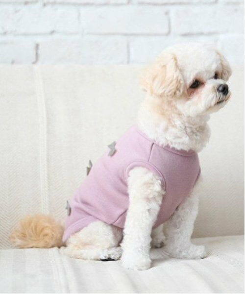 petit main / プティマイン ペットグッズ | 【リンク】【DOG】リボン後ろあきベスト | 詳細1