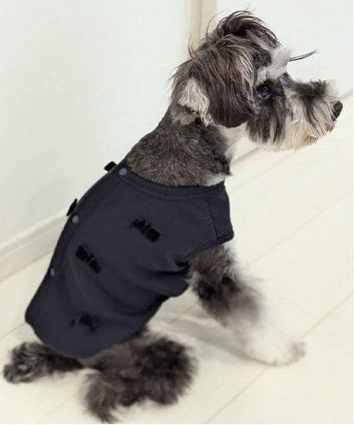 petit main / プティマイン ペットグッズ | 【リンク】【DOG】リボン後ろあきベスト | 詳細7