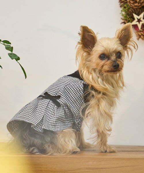 petit main / プティマイン ペットグッズ | 【リンク】【DOG】チェックドッキングワンピ | 詳細10