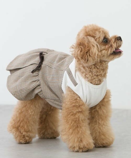 petit main / プティマイン ペットグッズ | 【リンク】【DOG】チェックドッキングワンピ | 詳細5