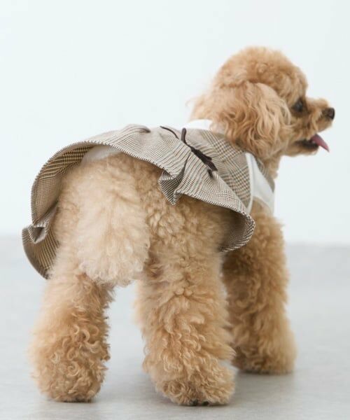 petit main / プティマイン ペットグッズ | 【リンク】【DOG】チェックドッキングワンピ | 詳細6