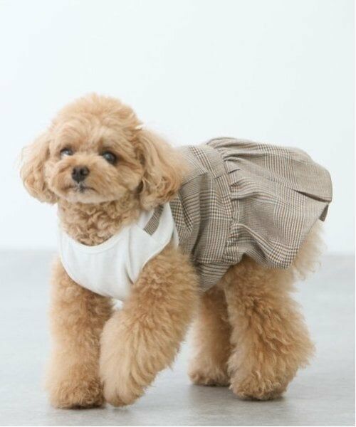 petit main / プティマイン ペットグッズ | 【リンク】【DOG】チェックドッキングワンピ | 詳細19