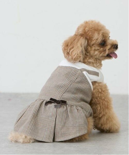 petit main / プティマイン ペットグッズ | 【リンク】【DOG】チェックドッキングワンピ | 詳細21