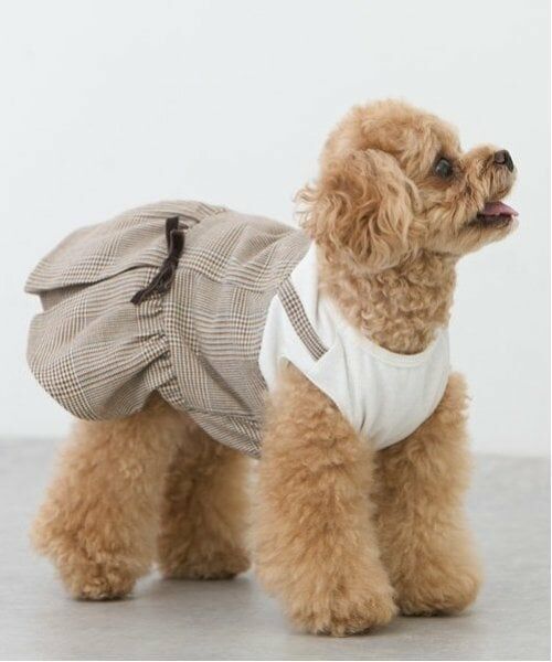 petit main / プティマイン ペットグッズ | 【リンク】【DOG】チェックドッキングワンピ | 詳細22